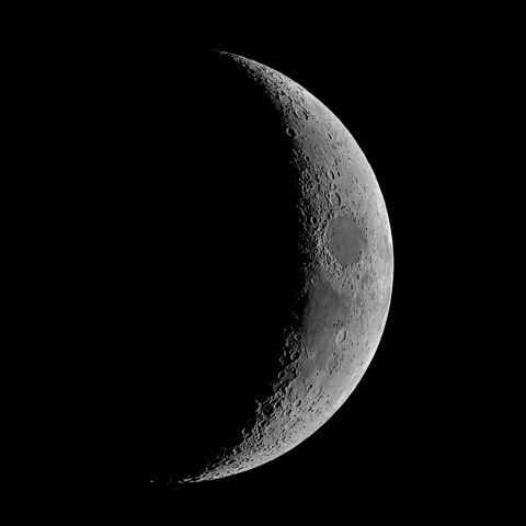 夕月 2020年11月19日