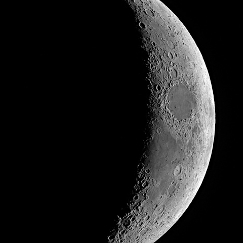 夕月 2020年11月19日