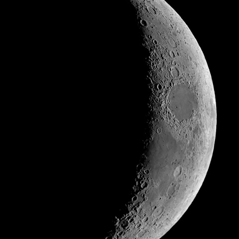 夕月 2020年11月19日