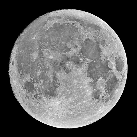 十五夜 2020年11月29日