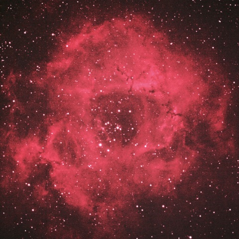 バラ星雲 2021年1月8日