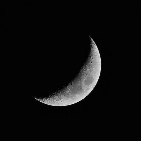 夕月 2021年1月18日