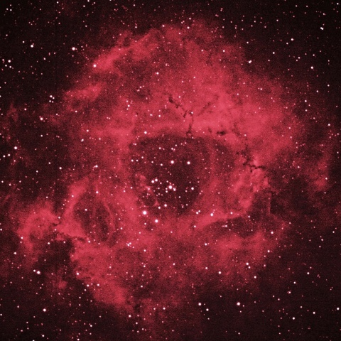 バラ星雲 2021年1月9日