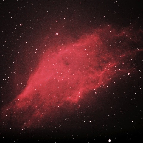 カリフォルニア星雲 2021年1月13日