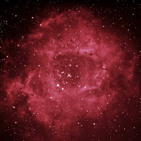 バラ星雲 2021年1月9日