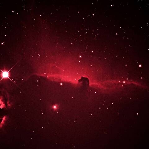 馬頭星雲 2021年1月18日