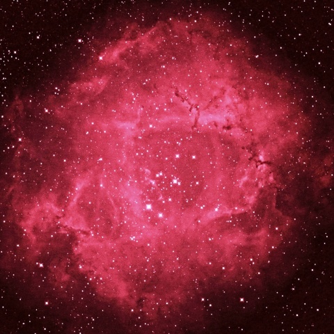 バラ星雲 2021年1月30日