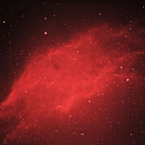 カリフォルニア星雲 2021年2月8日