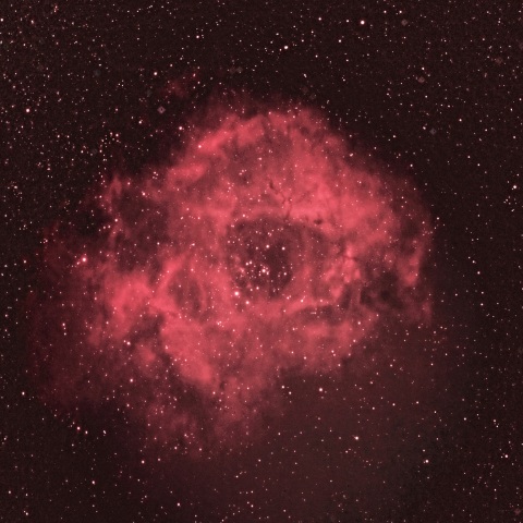 バラ星雲 2021年2月13日