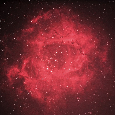 バラ星雲 2021年2月9日