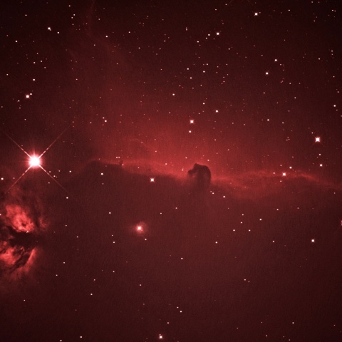 馬頭星雲 2021年2月9日