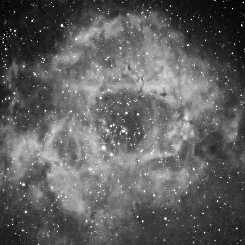 バラ星雲 2021年2月13日