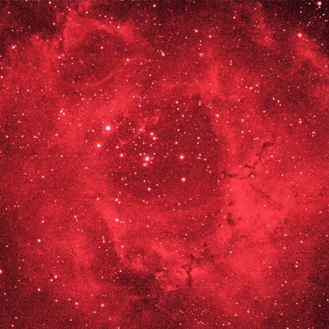 バラ星雲 2021年2月14日