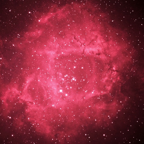 バラ星雲 2021年2月14日