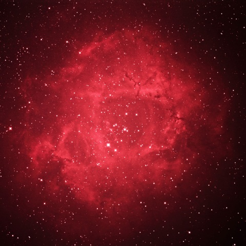 バラ星雲 2021年2月14日