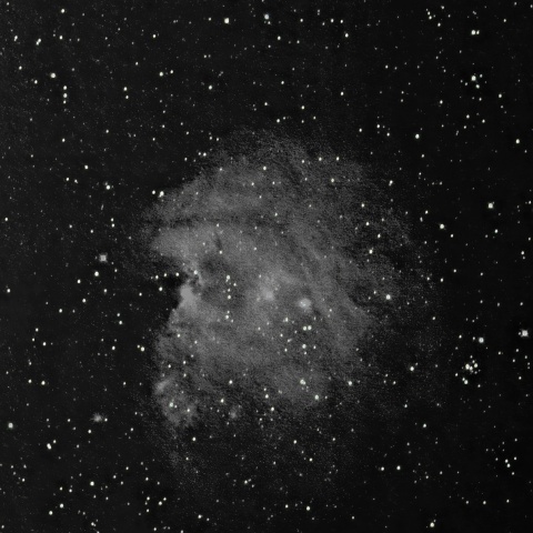 モンキー星雲 2021年2月21日