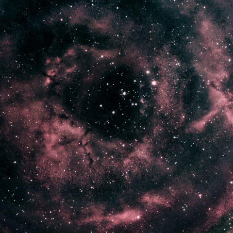 ばら星雲 2021年2月19日