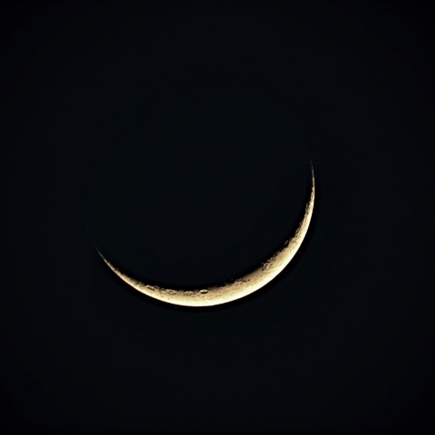 夕月 2021年3月16日