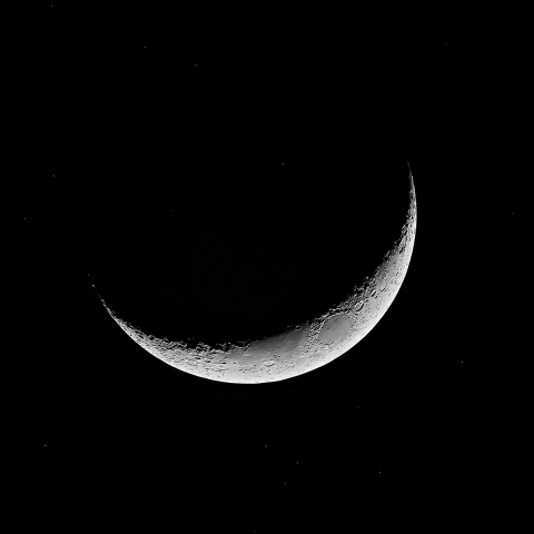 夕月 2021年3月17日