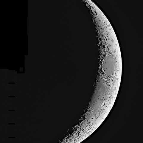 夕月 2021年3月17日