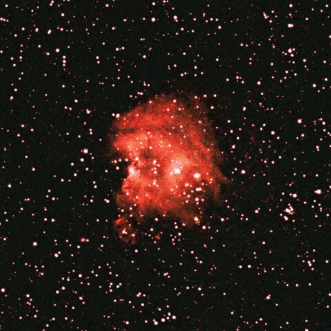 モンキー星雲 2021年3月3日