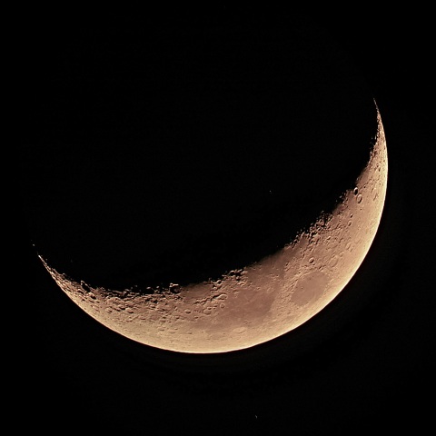 夕月 2021年3月18日