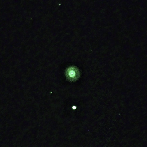 エスキモー星雲 2021年4月7日