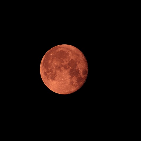 十六夜 2021年7月25日