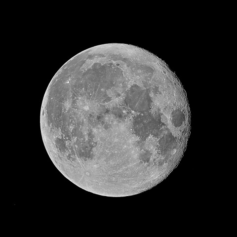 立待月 (モノクロ) 2021年8月24日