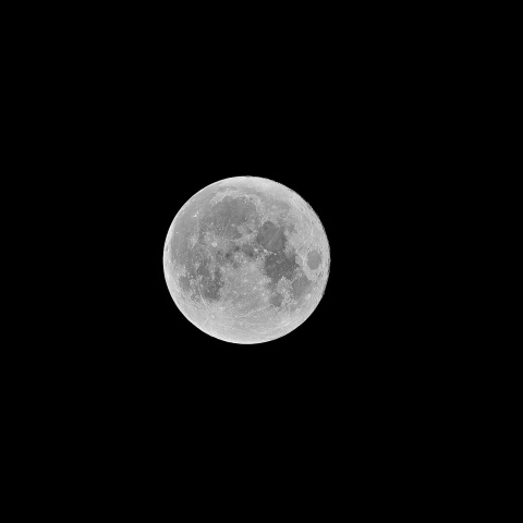 中秋の名月 (モノクロ) 2021年9月21日