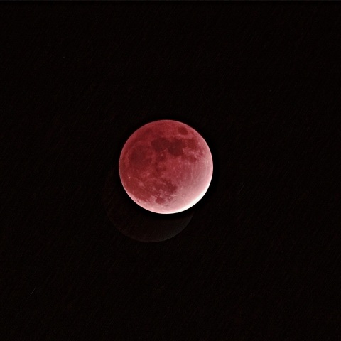 部分月食 2021年11月19日