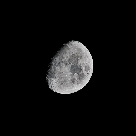 十日月 2021年11月14日