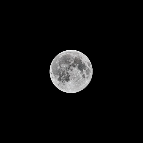 立待月 2021年12月20日