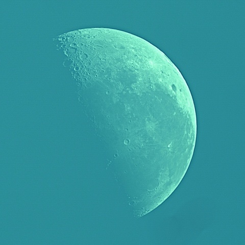 昼間の月 2021年12月27日