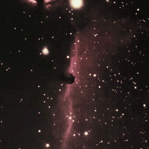 馬頭星雲 2021年12月31日