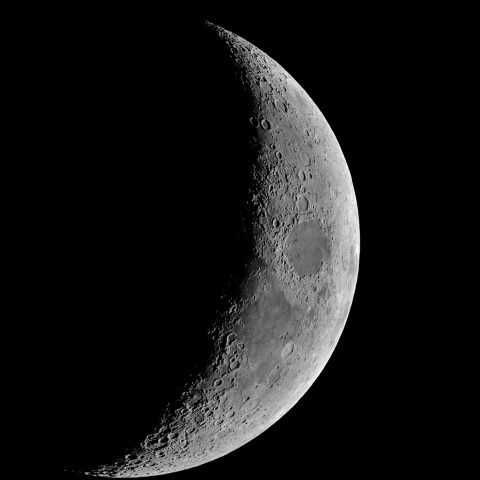 夕月 2022年1月7日