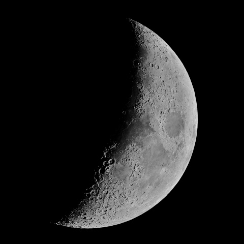 夕月 2022年1月8日