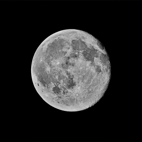 立待月 2022年1月19日