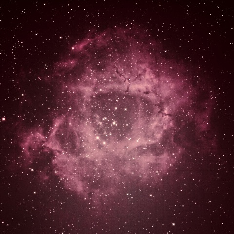 ばら星雲 2022年1月21日