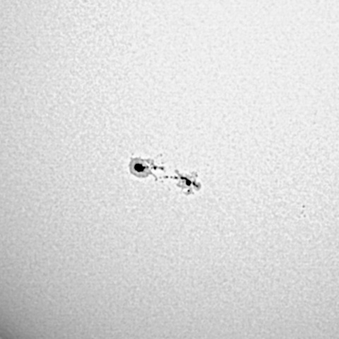 太陽黒点 2022年1月31日