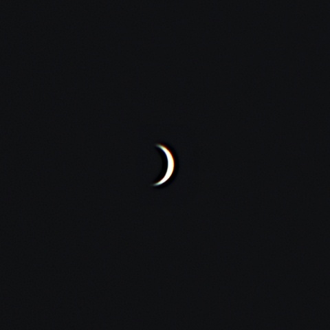 金星 2022年2月1日