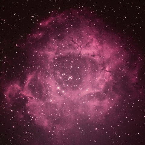 ばら星雲 2022年1月26日