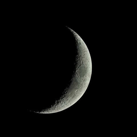 夕月 2022年2月5日