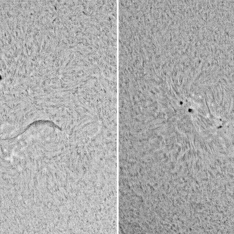 太陽面 2022年2月6日