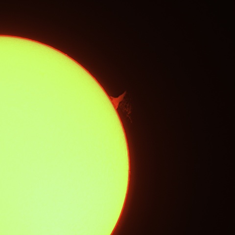 太陽プロミネンス 2022年2月7日