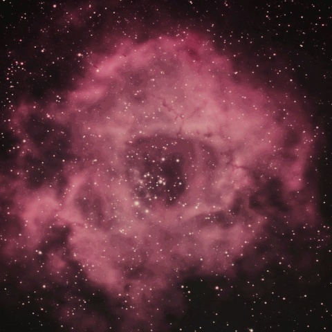 ばら星雲 2022年2月6日