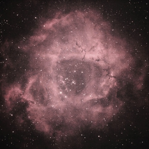 ばら星雲 2022年2月22日