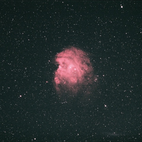 モンキー星雲 2022年2月26日