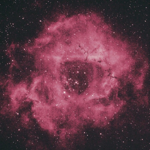 ばら星雲 2022年3月6日