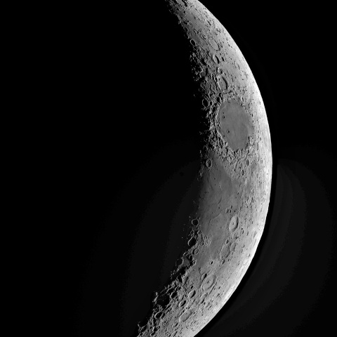 夕月 2022年4月5日